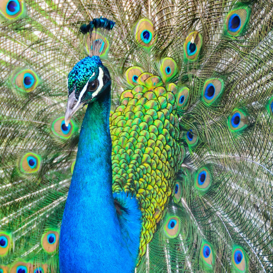 Illustration Niveau 1